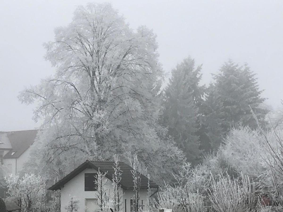 Ferienwohnungen Beckendorf Schiller Losheim Dış mekan fotoğraf